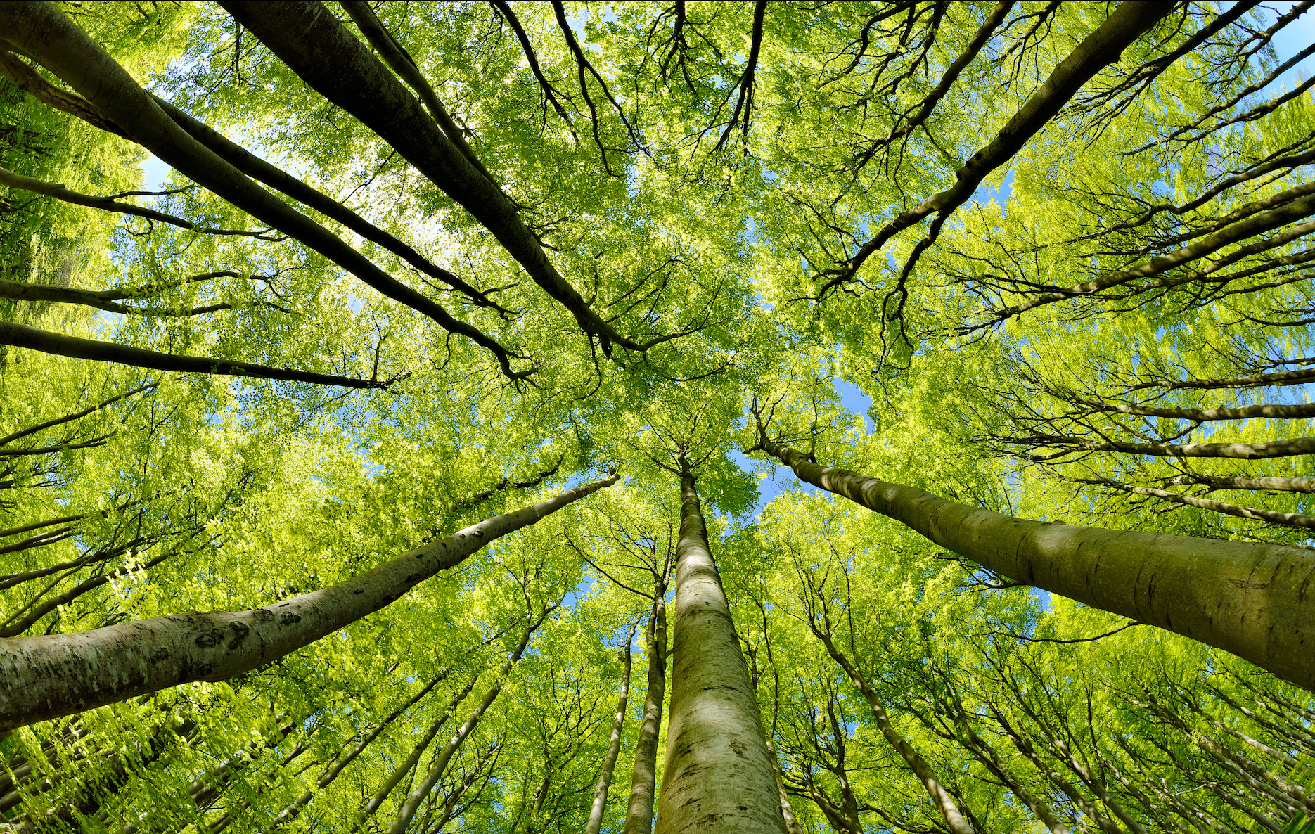 Leading the Future of Sustainable-Luxury Skincare