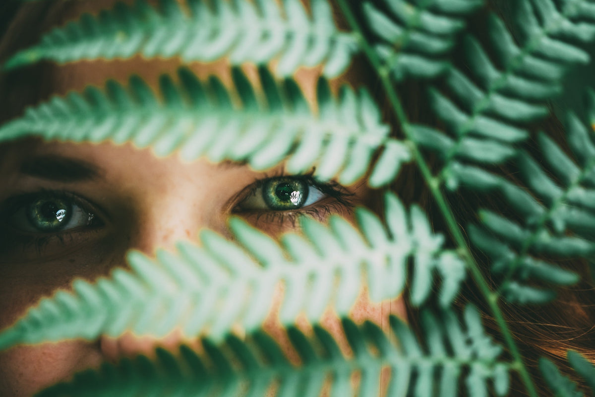 Building skin resilience in summer – Lumière LED mask